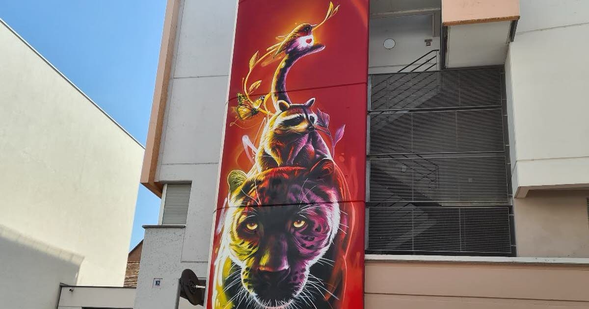Schiltigheim. Street art: three colorful frescoes by Dan 23 are installed on rue de-Lattre-de-Tassigny