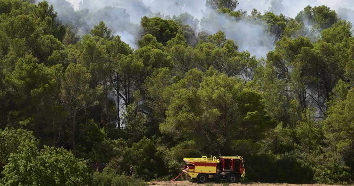 Live. Heatwave: High risk of fire in 29 departments, 14 on red heatwave alert