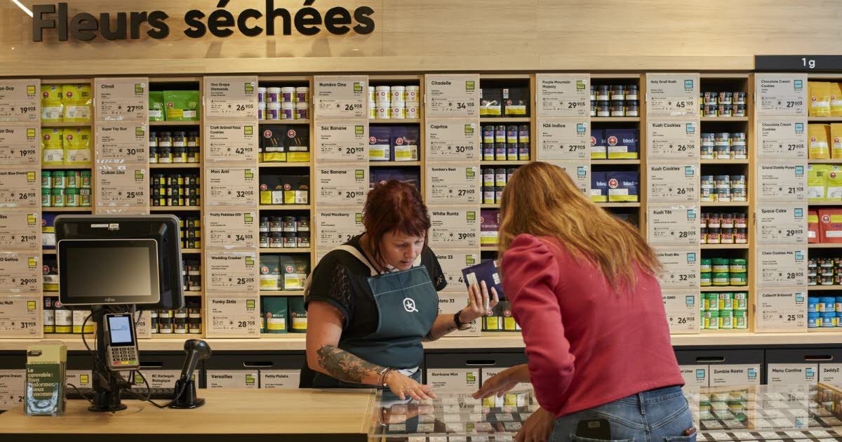 Canada. "It brings in a lot of money for the state": in Quebec, cannabis has found its legal model