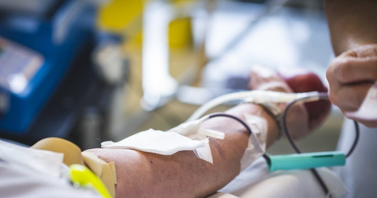 Gezondheid. Bloeddonatie: gegevens over homoseksuele relaties worden binnenkort verwijderd.