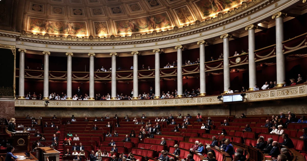 Politics. Parliament definitively adopts municipal voting reform in Paris, Lyon and Marseille