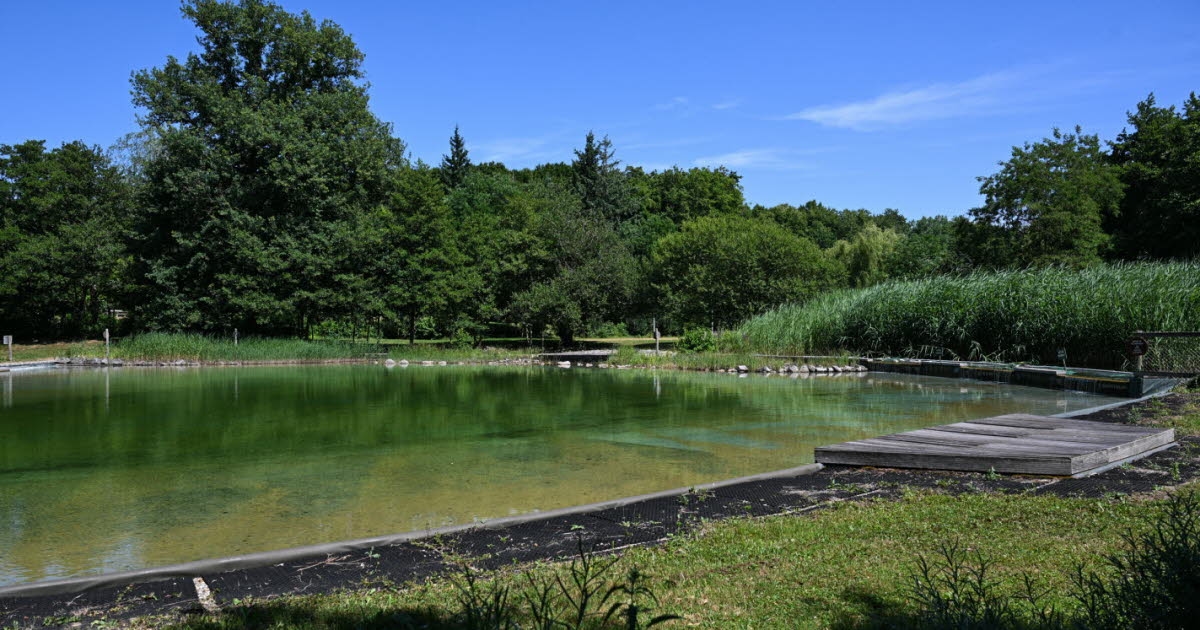 La Chapelle-Saint-Sauveur. La piscina natural reabre este sábado.