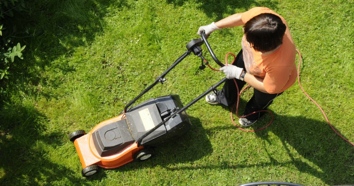 Conseils jardinage. Nos conseils pour éliminer les mauvaises herbes sans produits chimiques !