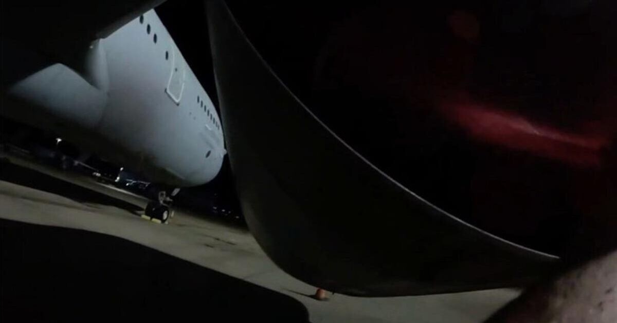 Pro-Palestine protesters break into RAF base and brag about damaging planes
