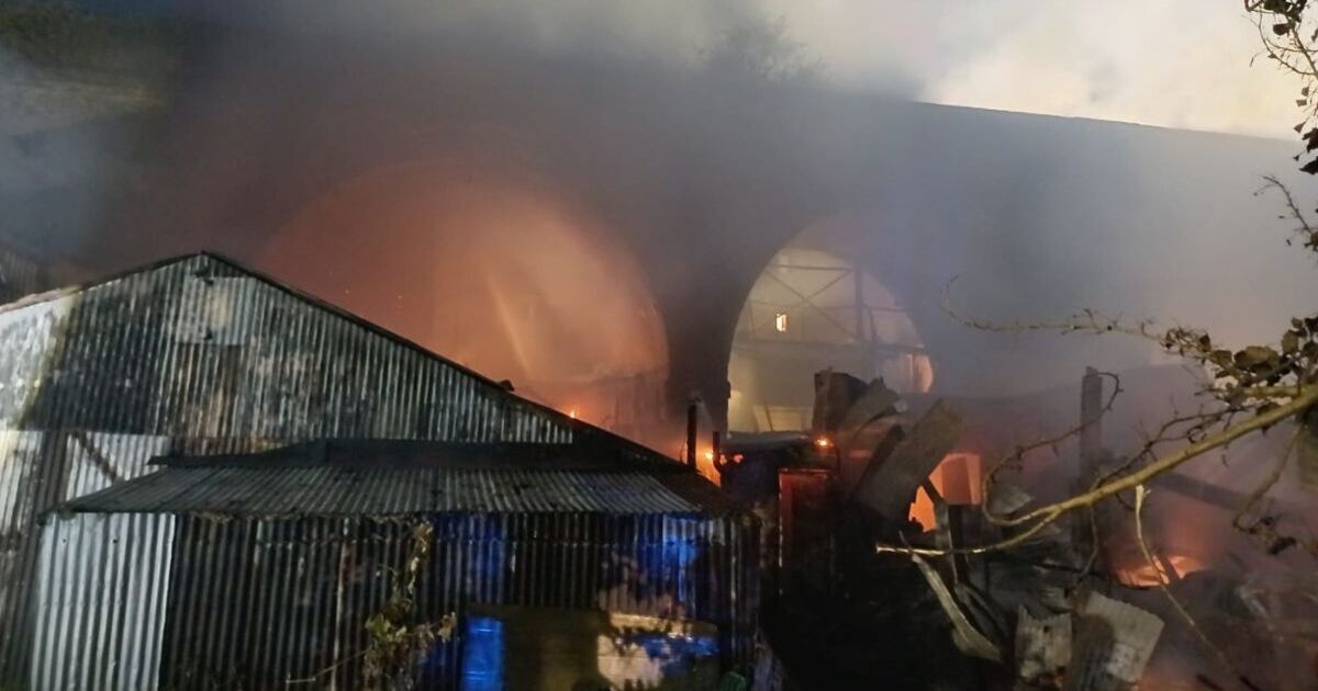 Londra yangını CANLI: Büyük yangın, 100 itfaiyecinin olay yerine koşmasıyla kaosa neden oldu