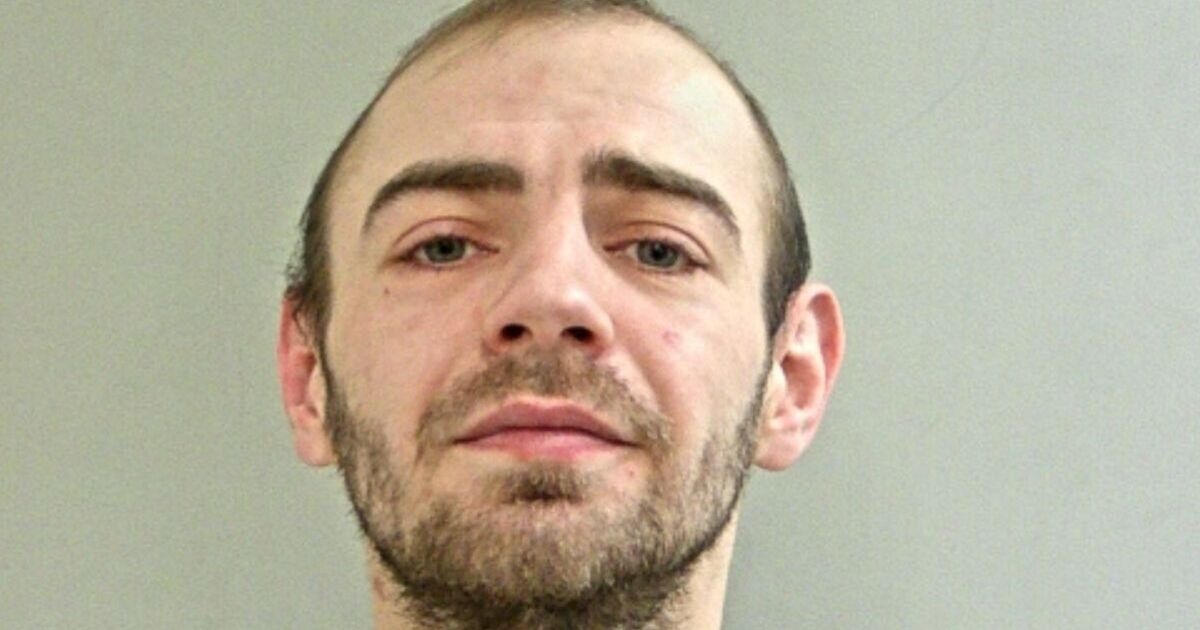 Manhunt launched after dog walker 'sexually assaulted' in UK village