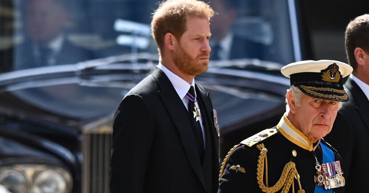 Prince Harry 'not the sharpest tool' but must know 'he's undermining King Charles'