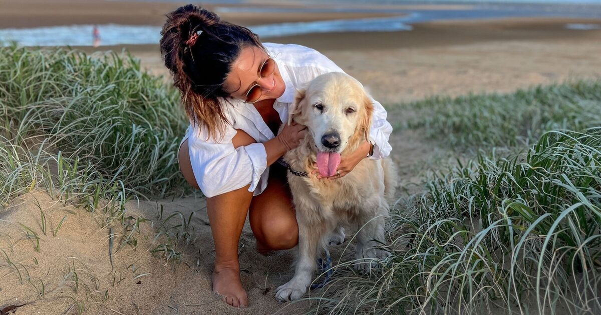 Il consiglio cruciale del veterinario ai proprietari di cani mentre le temperature aumentano nel Regno Unito