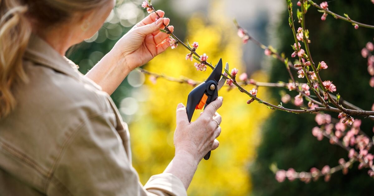 Le donne over 40 affrontano la menopausa con nuovi hobby, dal giardinaggio alla danza, rivela uno studio