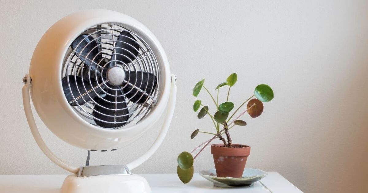 L'esperto rivela perché non dovresti lasciare il ventilatore acceso durante la notte