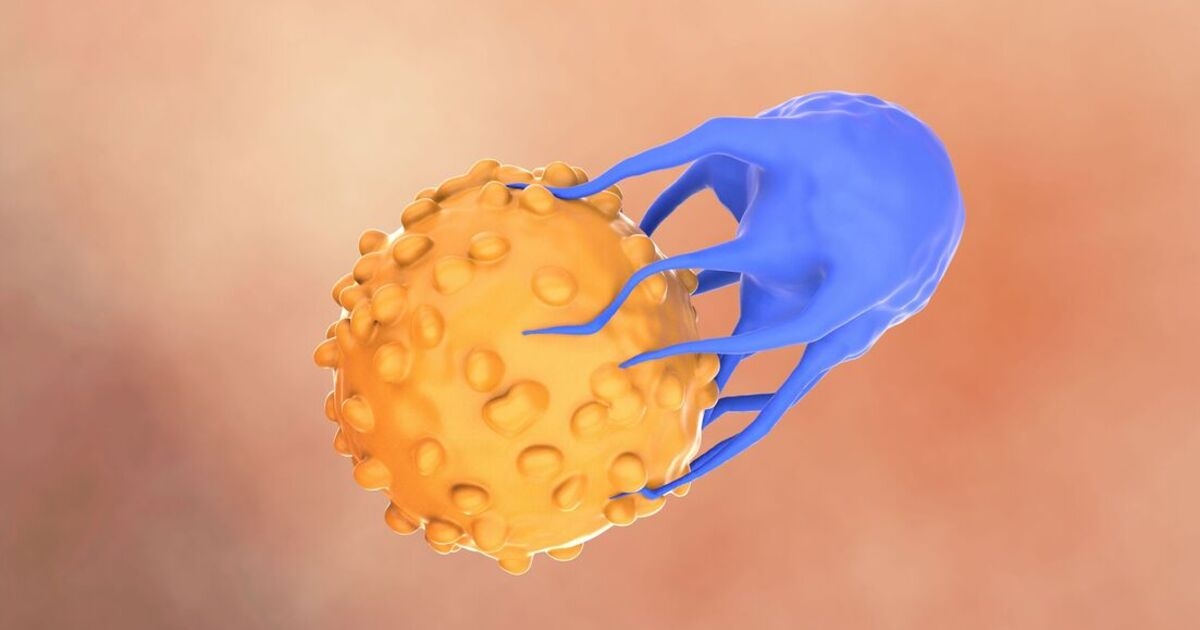 ‘Groundbreaking’ cancer therapy boosts survival by 40% in landmark study