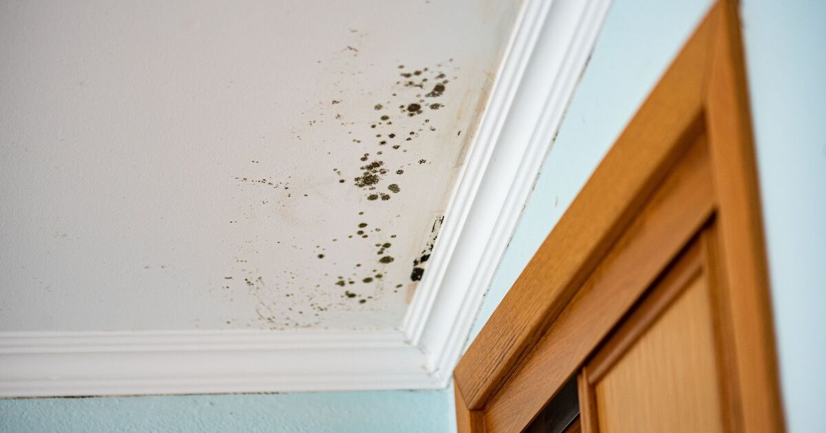 Home will stay mould free if you keep heating at this temperature