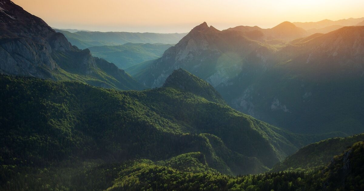 Europe's jaw-dropping last remaining rainforest the size of Heathrow Airport