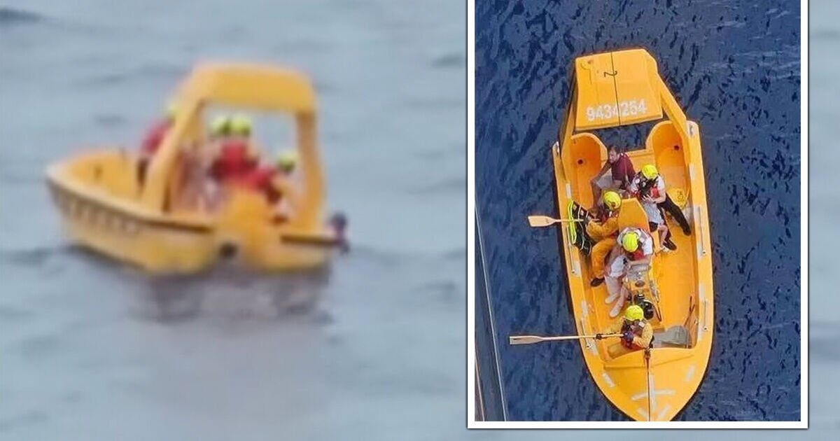 Horror as dad jumps off 14-storey Disney cruise ship to save child