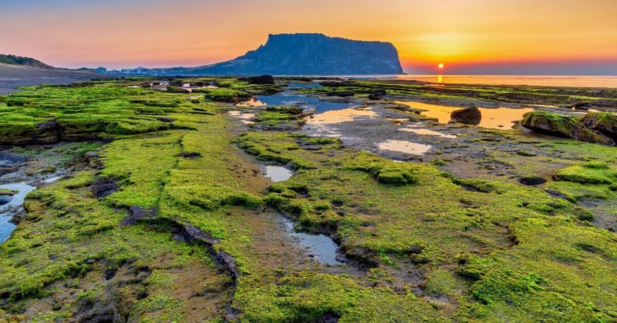 Fury in popular holiday hotspot as tourists caught ‘pooing in the street’