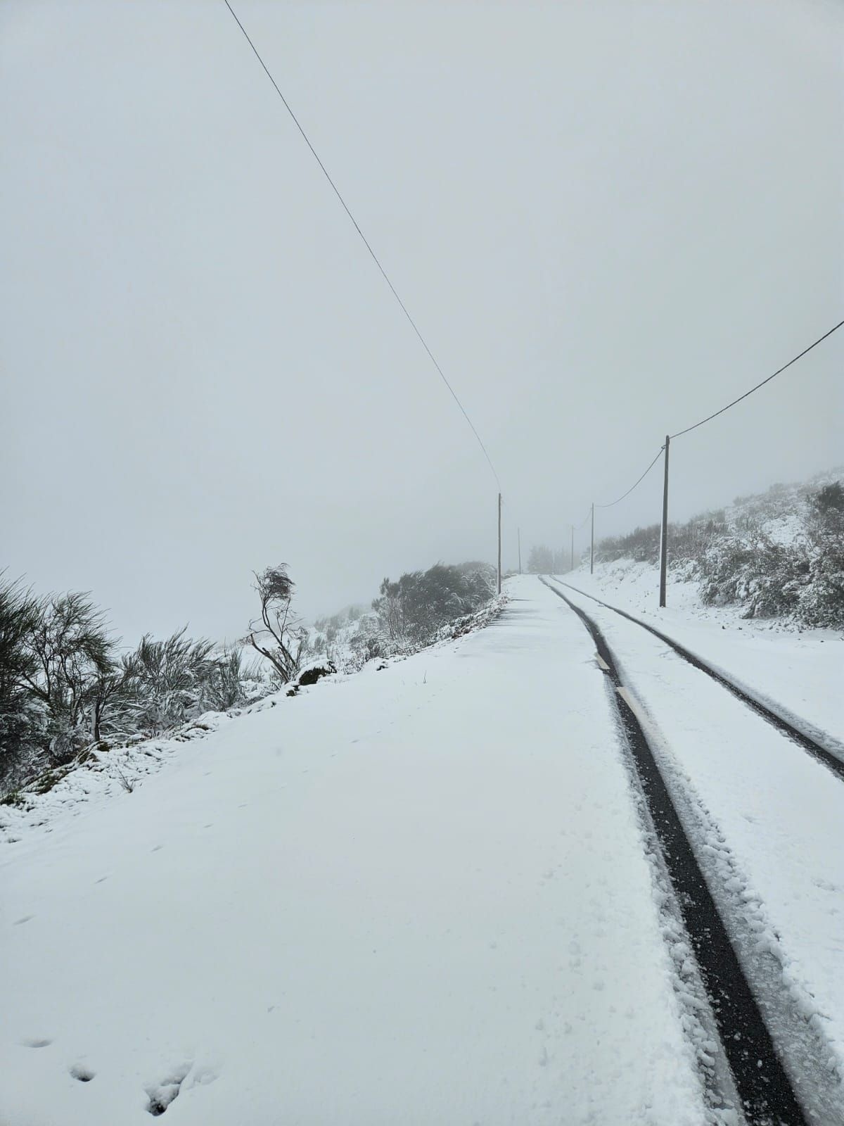 Aviso de clima de neve emitido