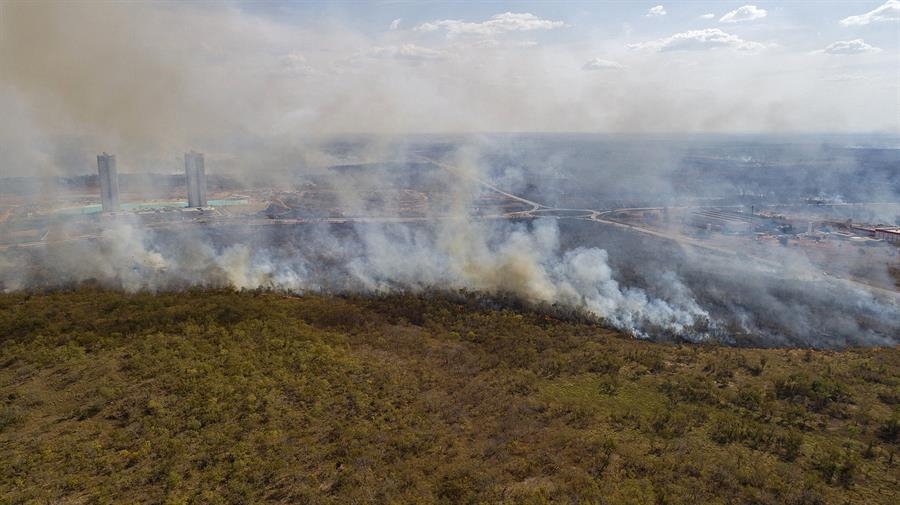 The Brazilian Amazon recorded the largest burned area in the last forty years in 2024.