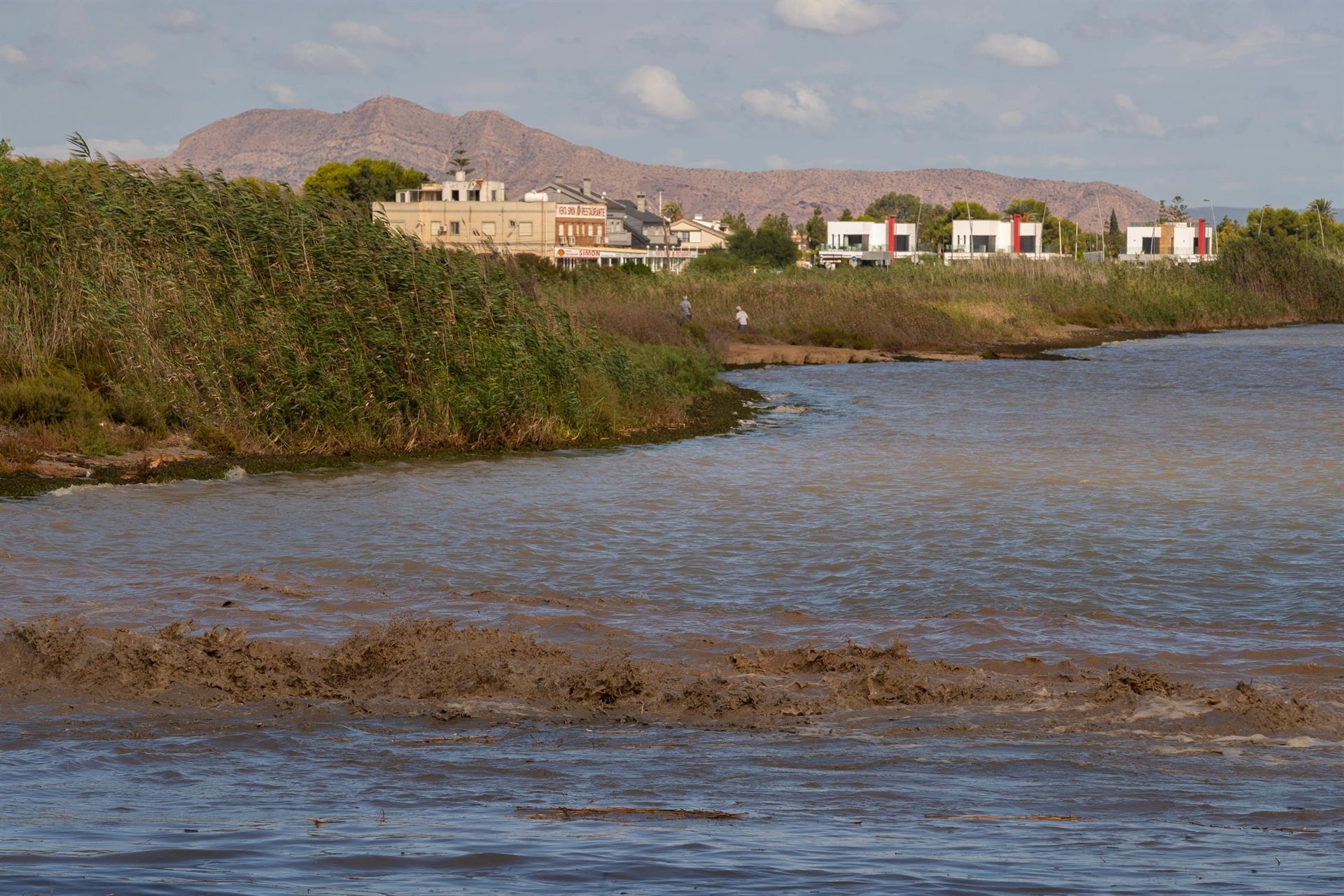 Os direitos da natureza avançam em Espanha: Mar Menor, Rio Tins e novas iniciativas