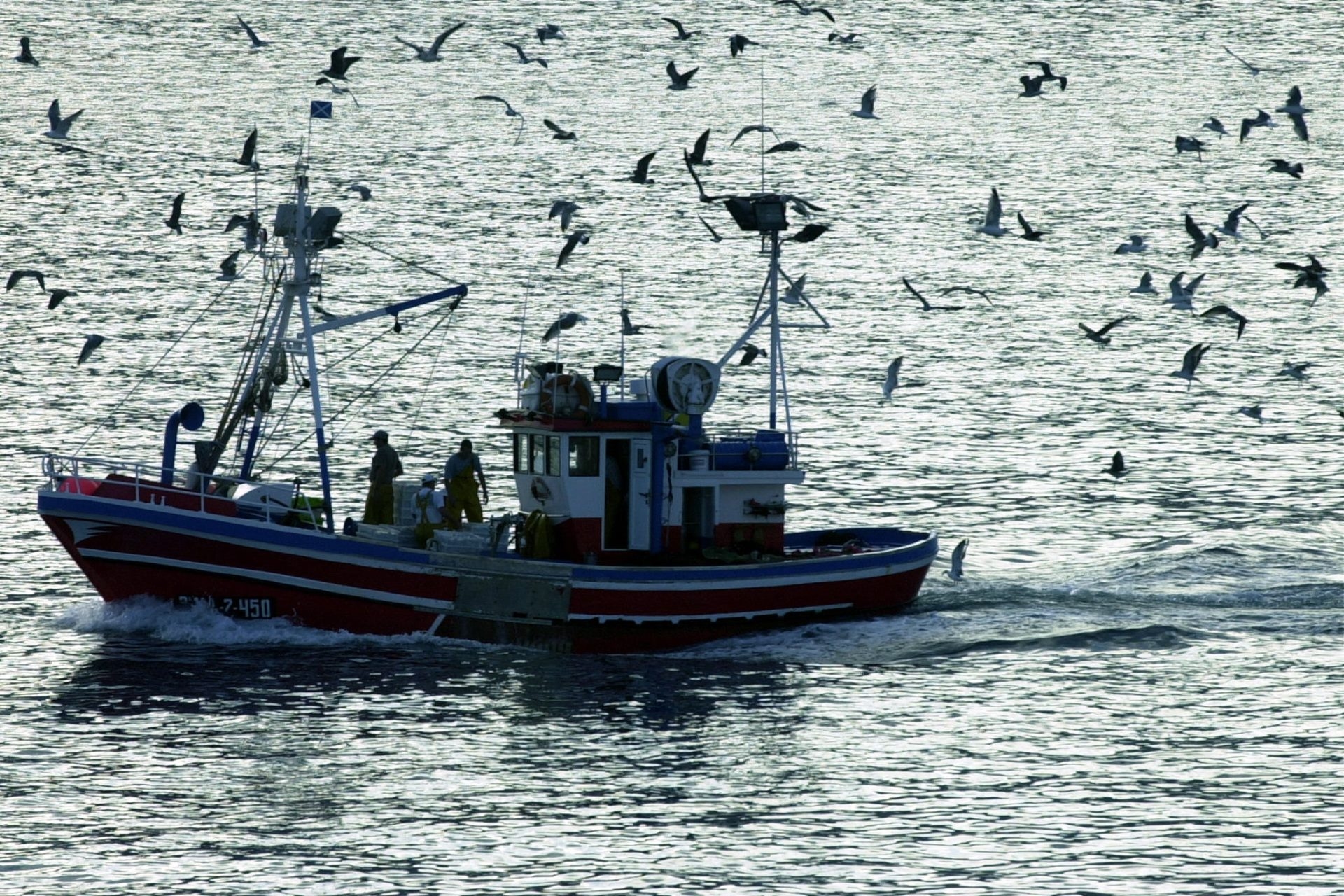 Oceany zmieniają kolor: na biegunach stają się bardziej zielone, a na równiku bardziej niebieskie
