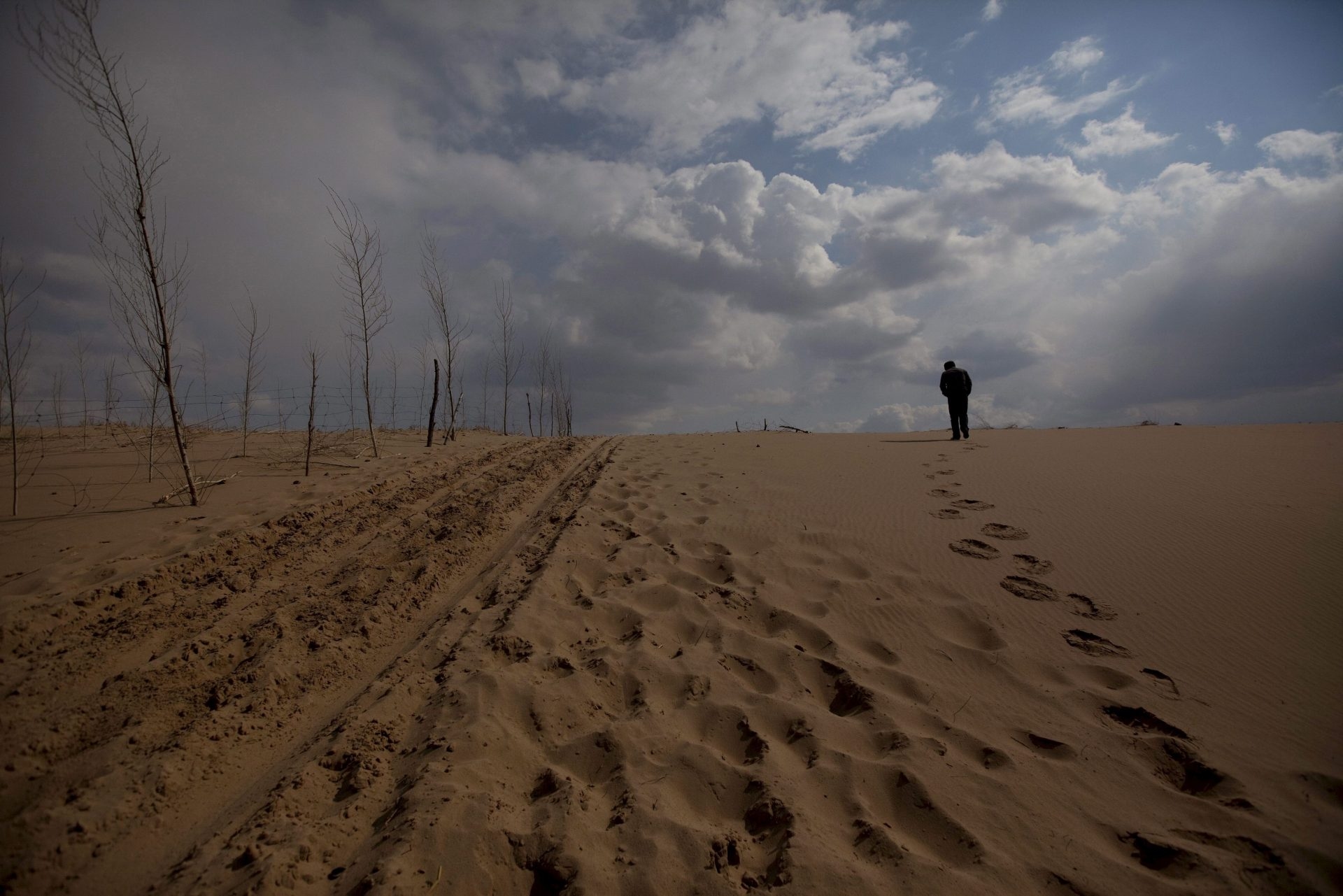 Científico jefe de la Desertificación de la ONU urge a atajar la degradación de la tierra