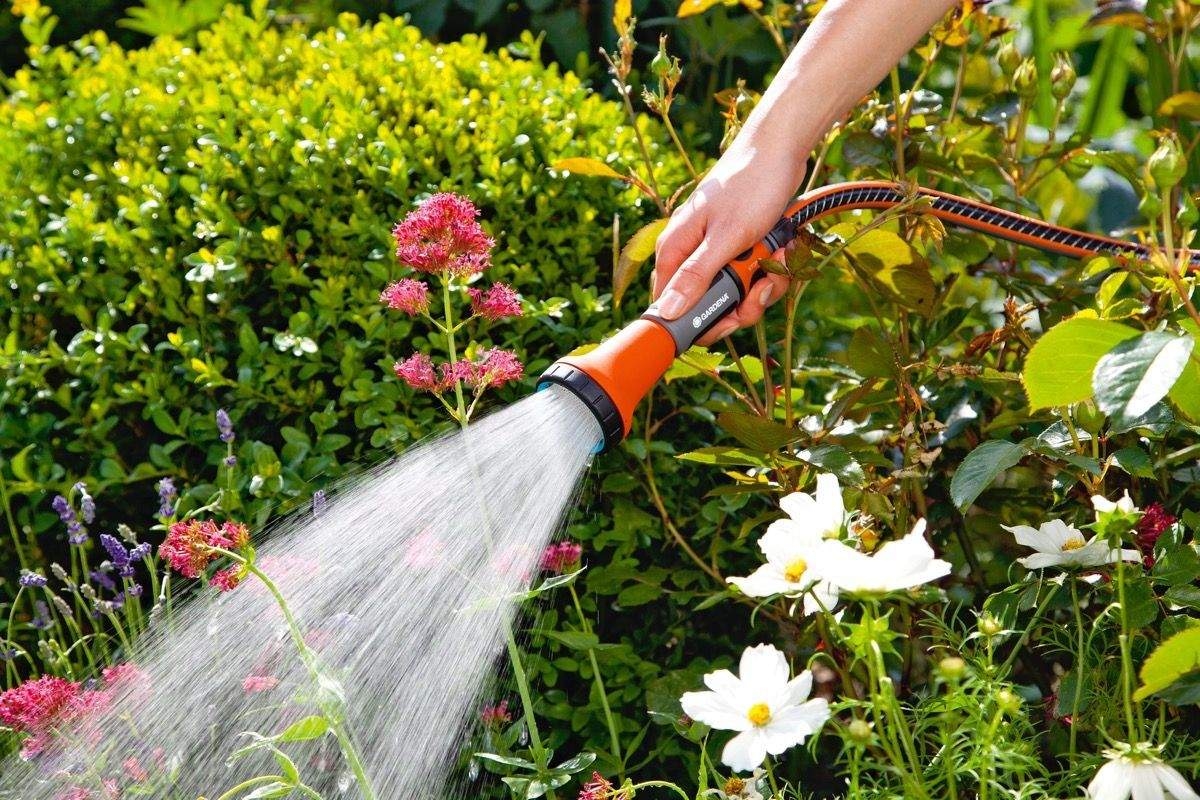 Dans cette province, il était interdit d’arroser le jardin !