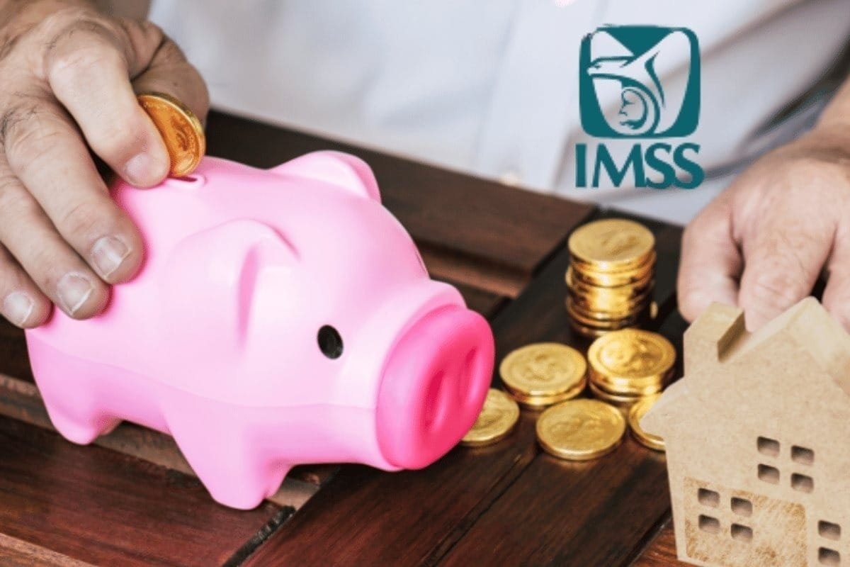 Ecco come puoi recuperare le tue settimane di contribuzione IMSS e proteggere la tua pensione.