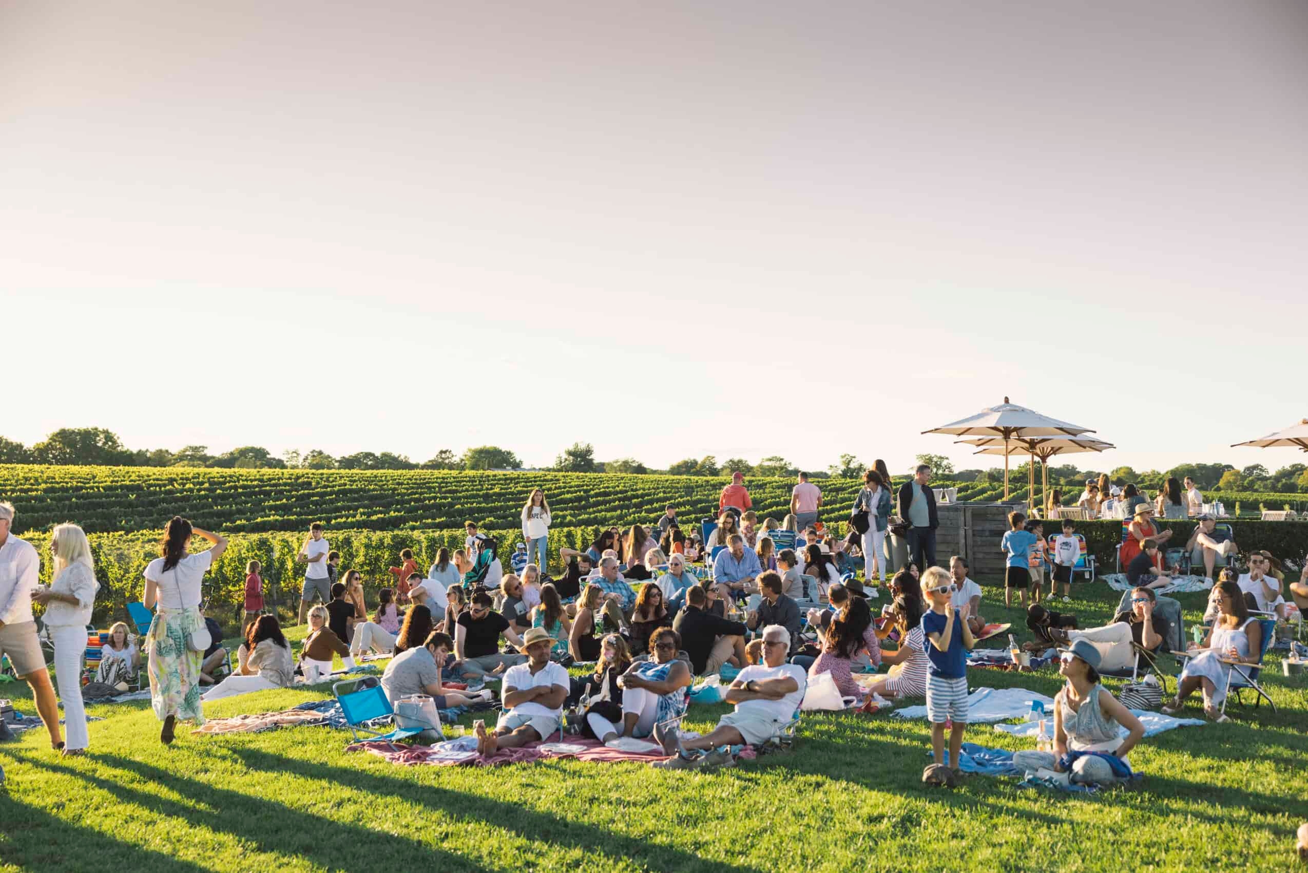 Seu guia de verão para Hamptons 2025 está aqui!