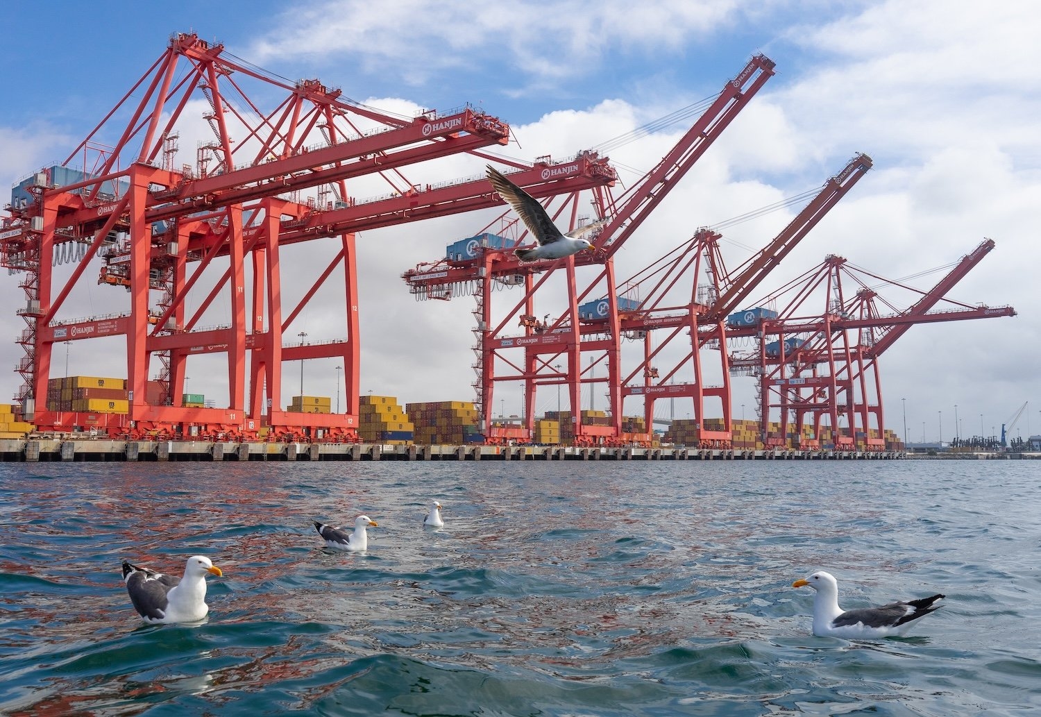 Import do USA spadł o 19,8% w kwietniu (tak, to rekord)
