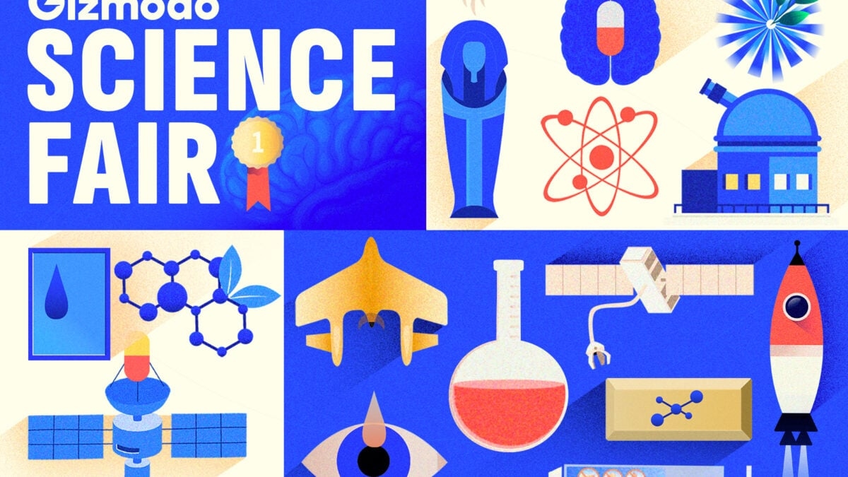 Победители научной ярмарки Gizmodo 2025 года