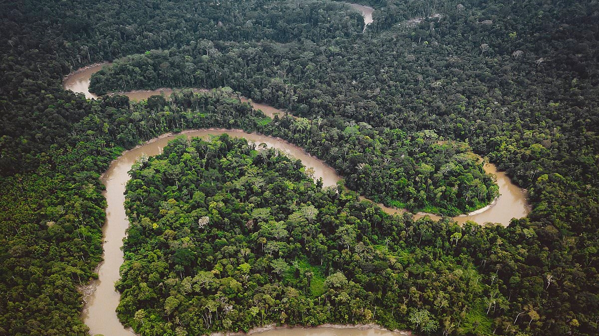 The river that can fight for its own future in court