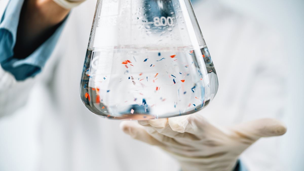 La guía del experto sobre lo que los microplásticos hacen en su cuerpo y 22 formas de minimizar el riesgo