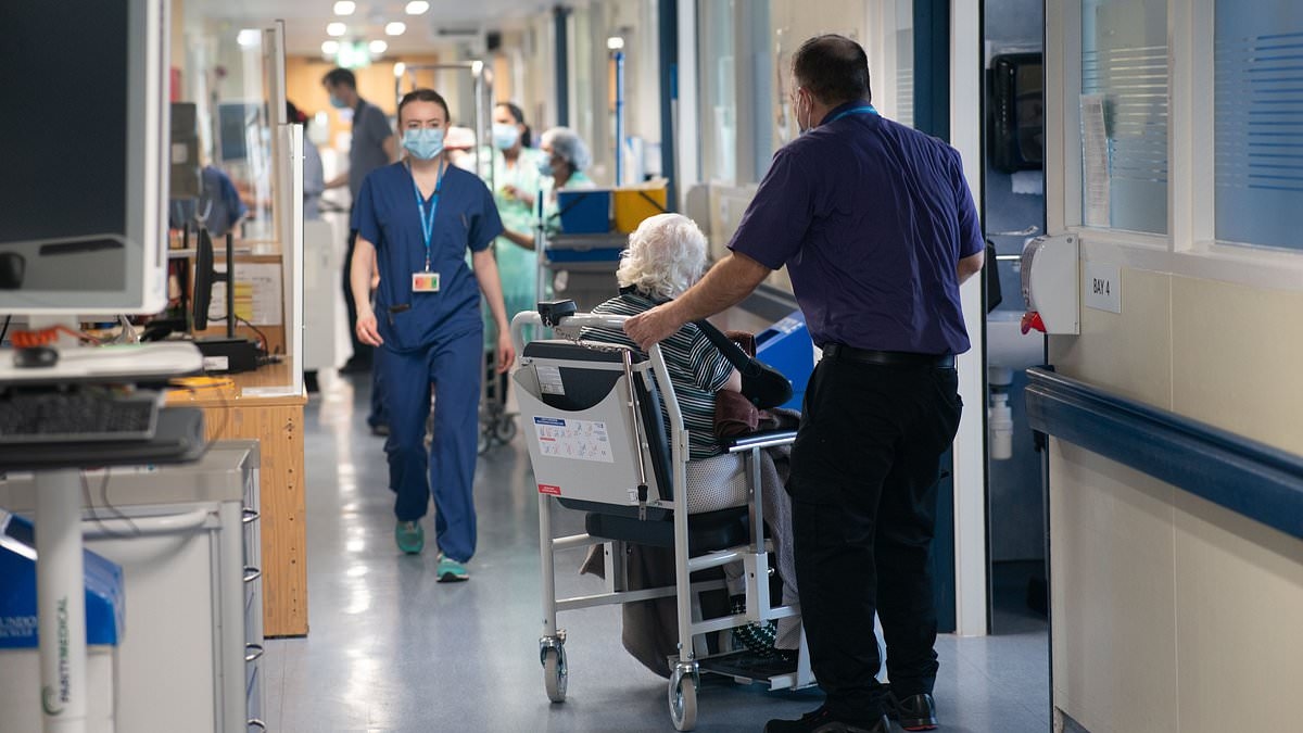 Corridor care in hospital an 'everyday reality' no longer confined to winter, doctors say