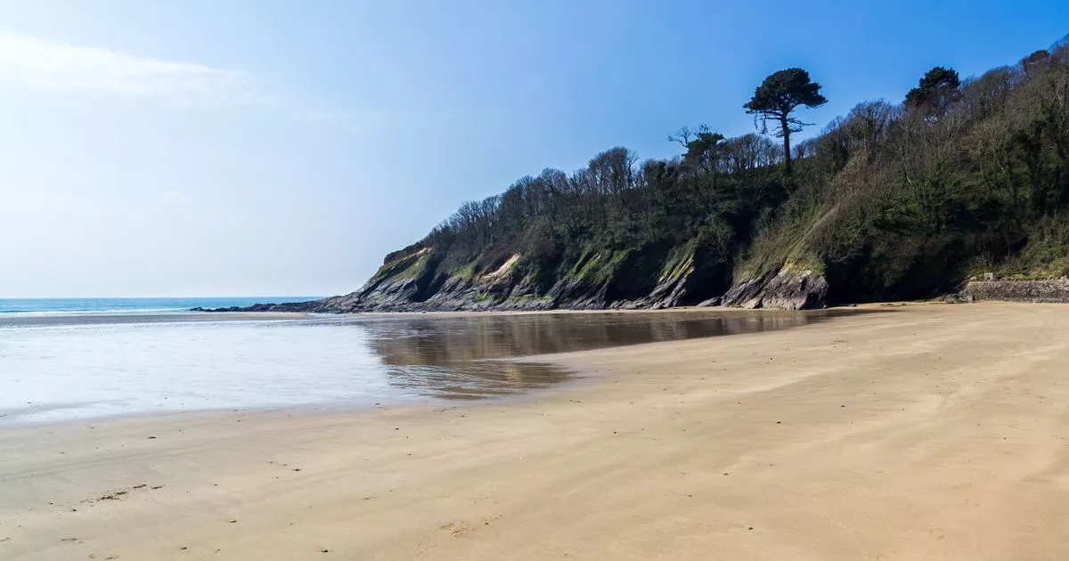 Praia do Reino Unido, outrora amada pelos britânicos, é envergonhada com prêmio indesejado da Bandeira Marrom