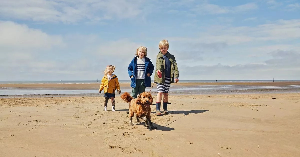 UK's most dog-friendly beach is sandy stretch with rock pools and dunes