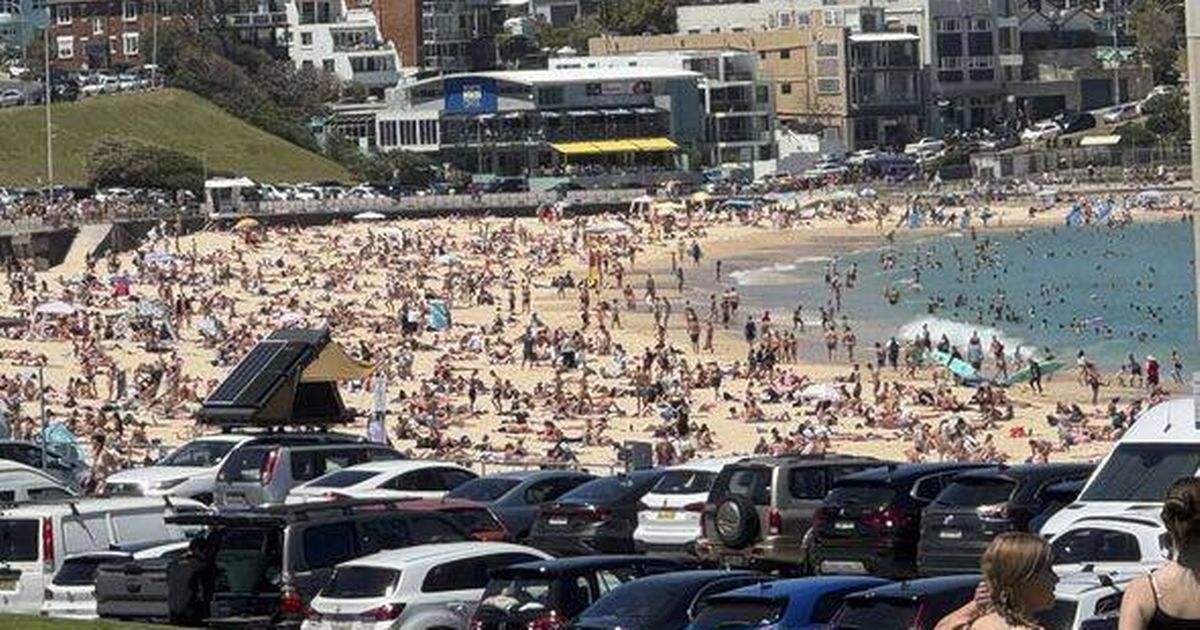 Hugely popular beach slammed by visitors as 'overrated' and 'boring'