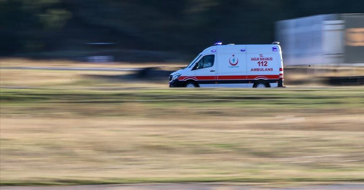 Tronco caduto sui lavoratori: 1 morto, 1 ferito