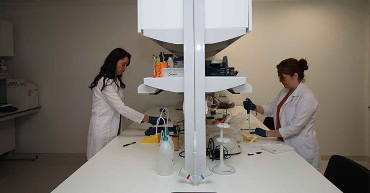 La Universidad de Akdeniz trabajará en la producción de medicamentos y materiales utilizados en trasplantes de órganos.