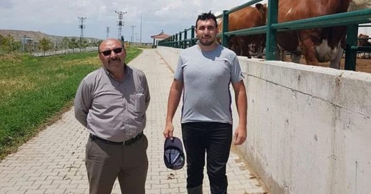 Вооружённое нападение в Йозгате: 2 погибших, 1 тяжело раненый