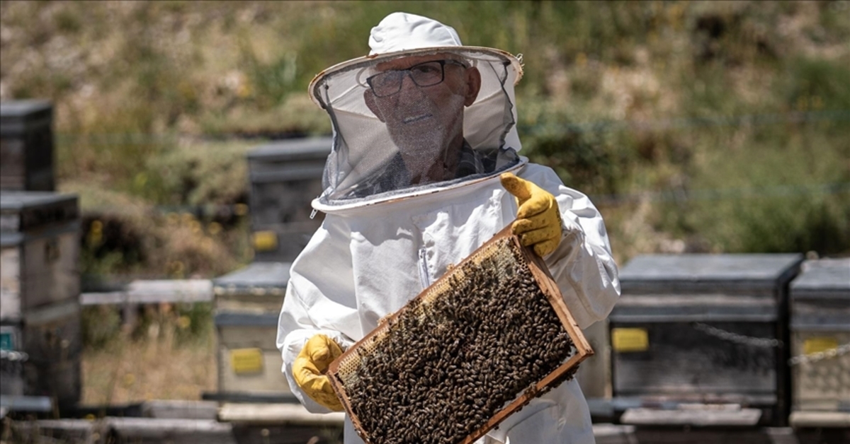 He beat cancer! He's living his second spring with bees