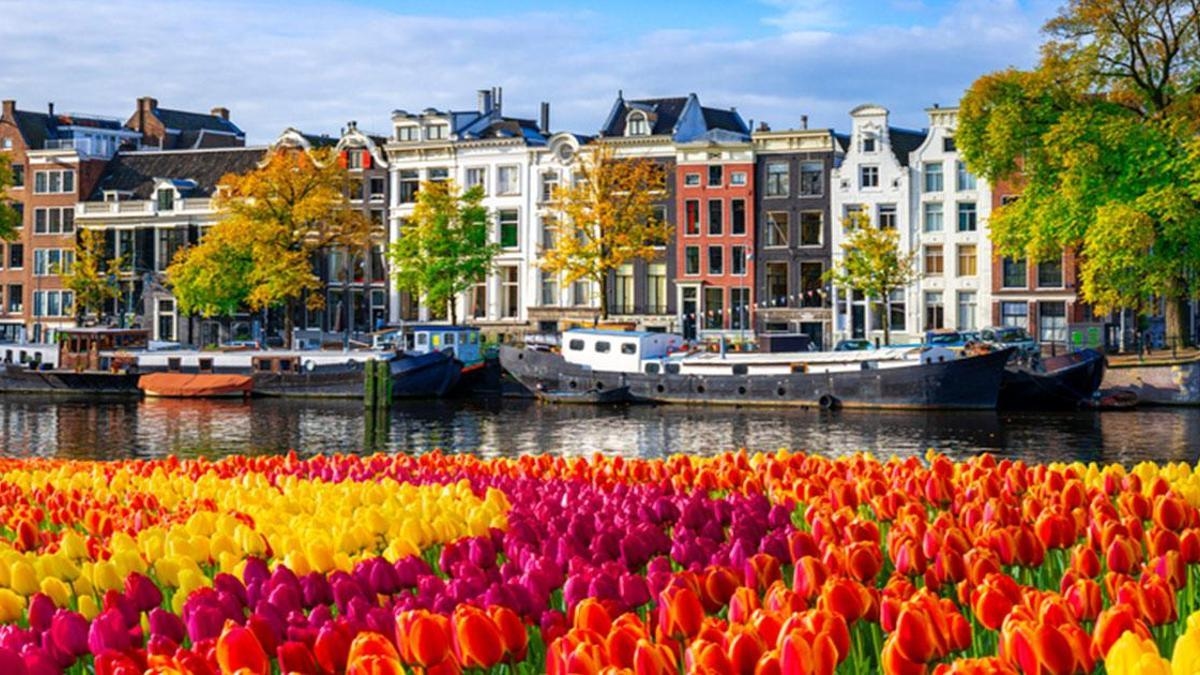 Ce qu'il faut savoir sur les Pays-Bas : quand et comment s'y rendre ? Langue, capitale, monnaie…