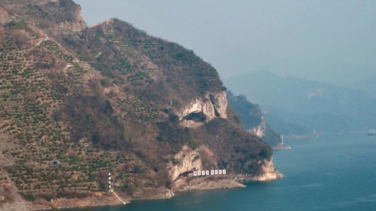 Degenen die het zagen, kwamen in groten getale! 'Puppy Mountain' in China gaat viraal