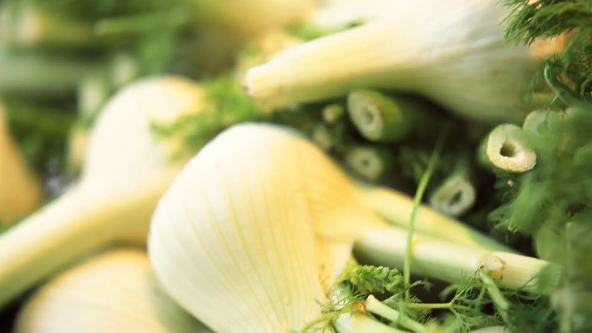 Die 3 Krankheiten, gegen die Fenchel hilft
