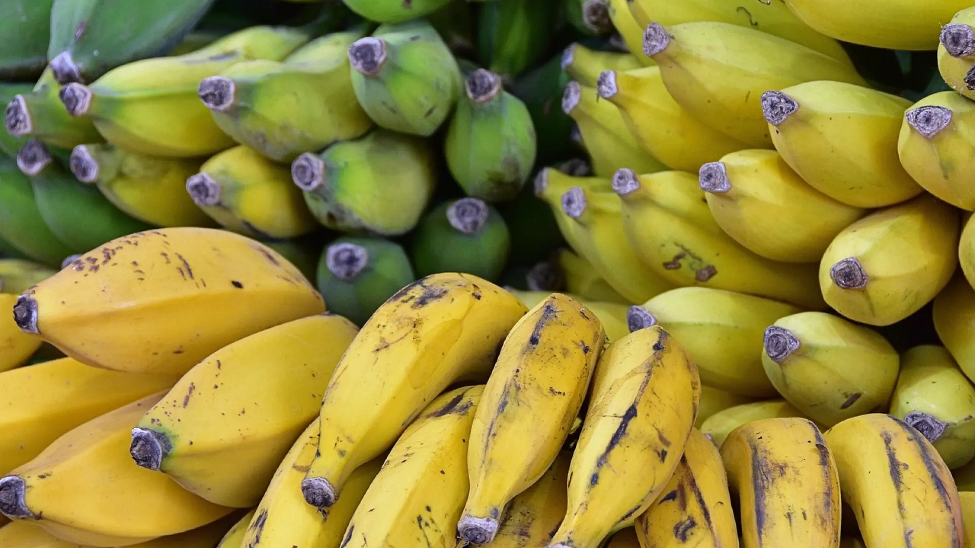 Una nutricionista revela en qué fase de maduración de un plátano es más beneficioso comerlo