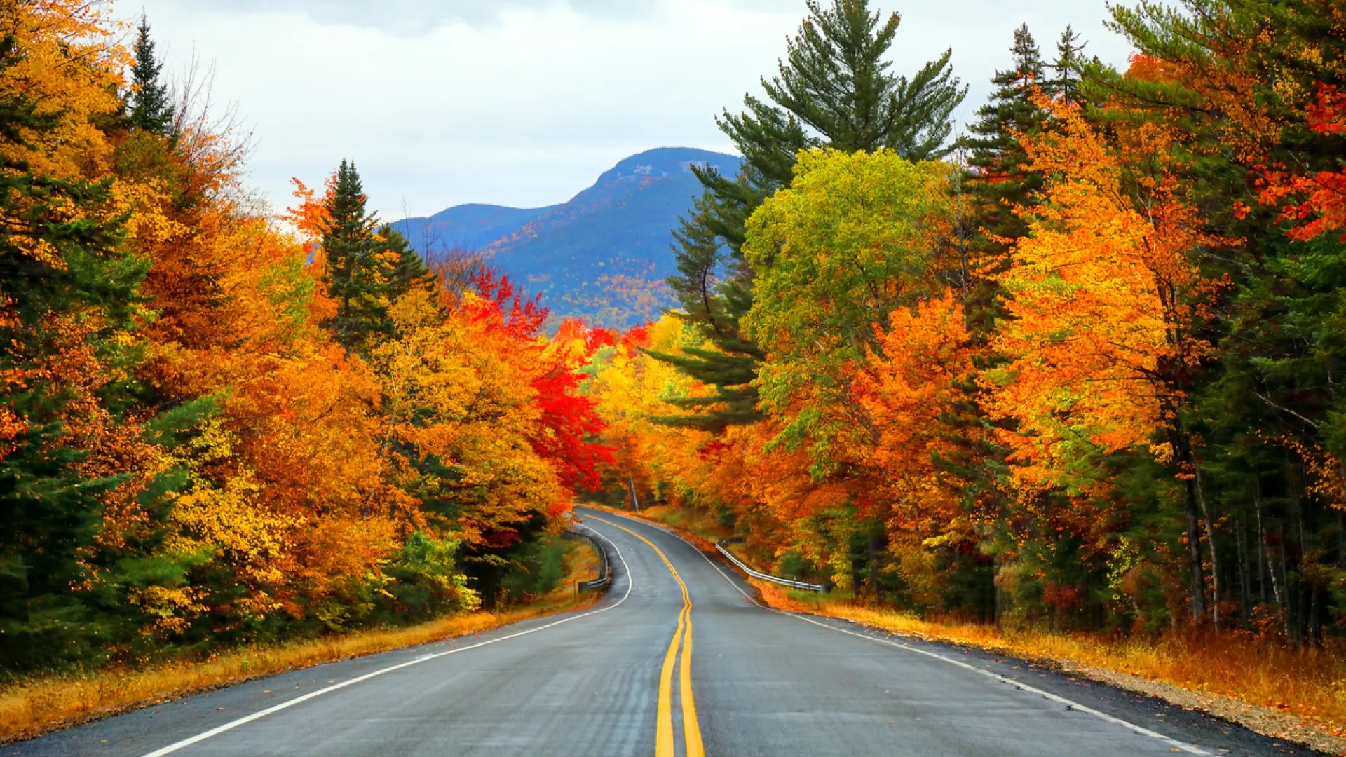 From Canada to the Japanese Alps: These are the best destinations for autumn foliage.