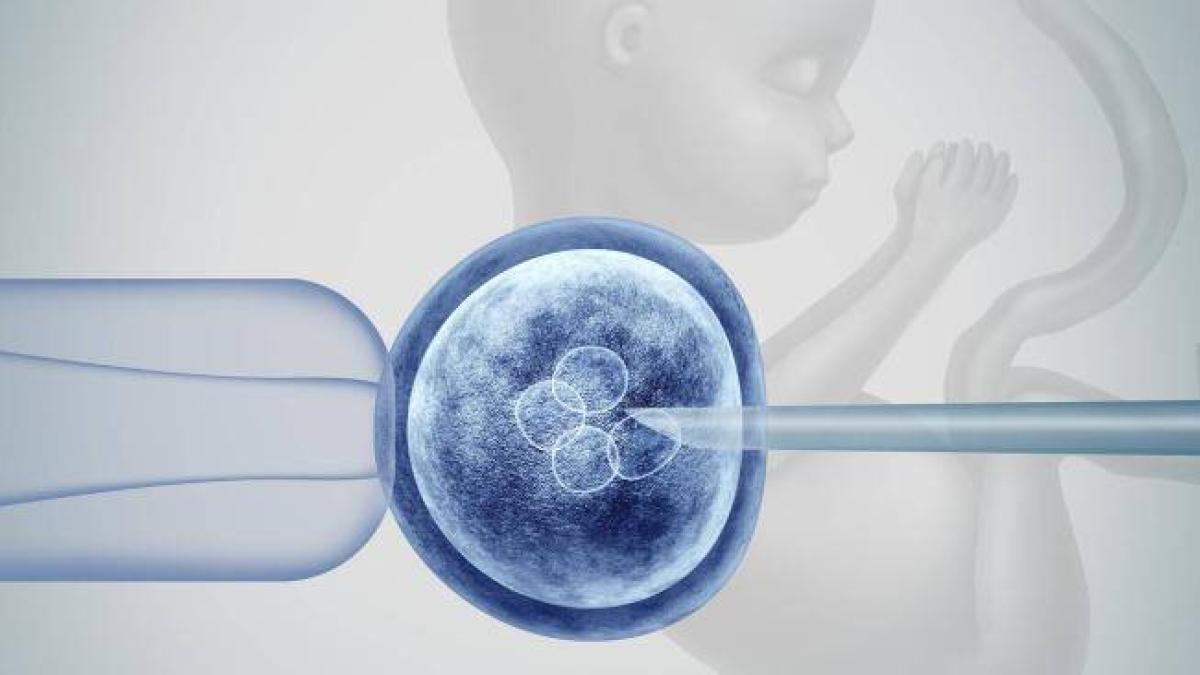 Uma terapia in vitro pioneira reduz o risco de doenças mitocondriais em bebês.