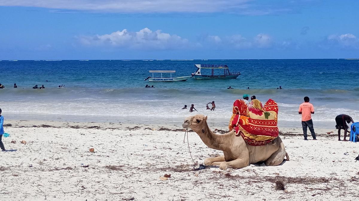 La costa Swahili del Kenya, le spiagge e le città perdute: cosa visitare in questa destinazione africana?