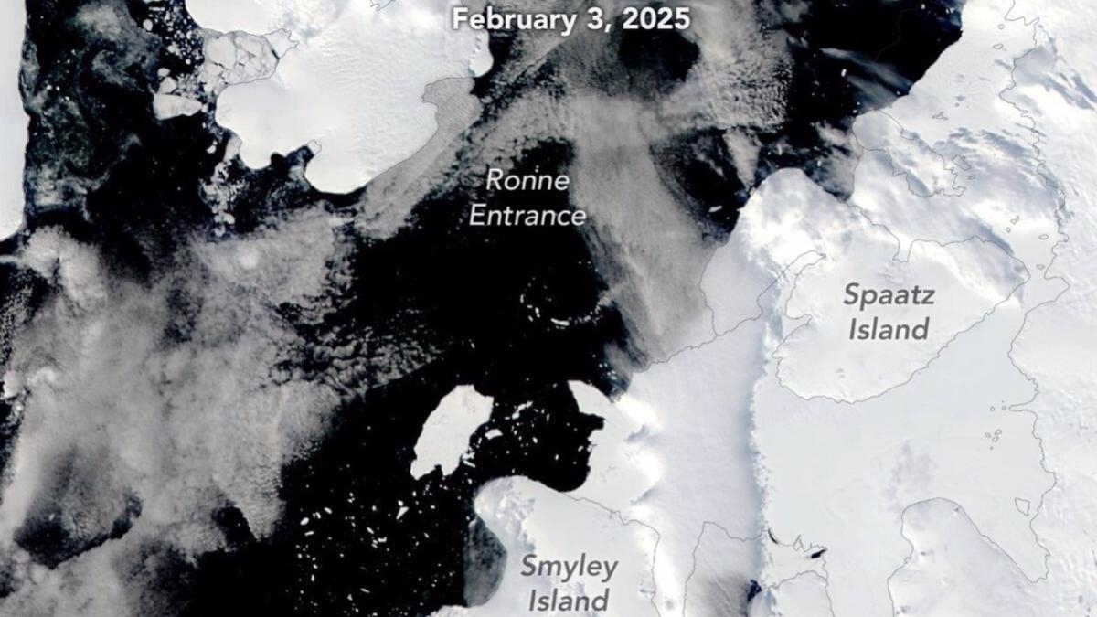 Un nouvel iceberg de la taille de Chicago se détache de l'Antarctique