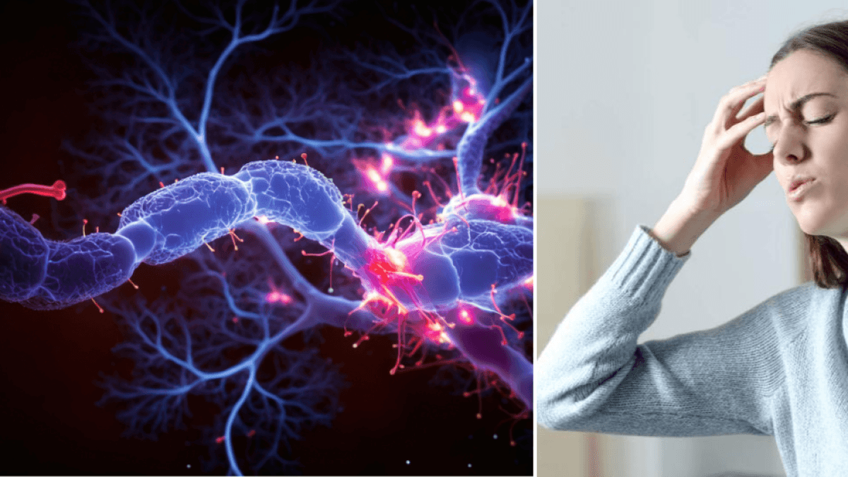 Neurologist explains how to deal with an epileptic crisis and manage the brain disorder