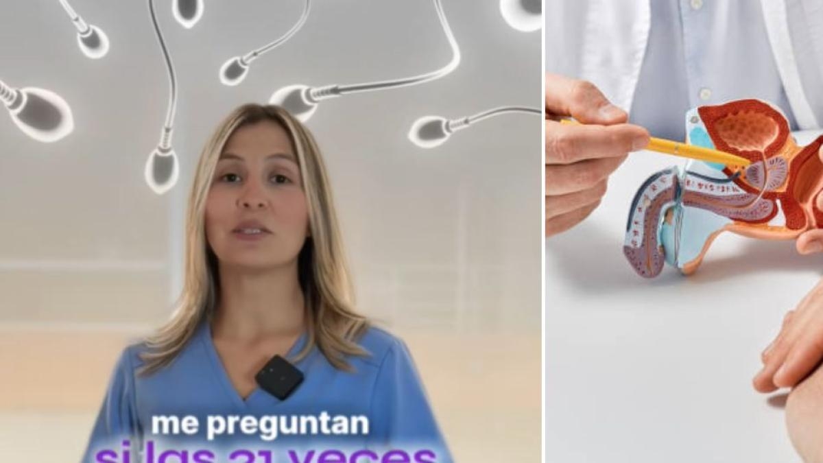 Vanessa Mosquera, urologa: "Le 21 volte in cui un uomo dovrebbe eiaculare al mese variano a seconda dell'età". Quante sarebbero allora?