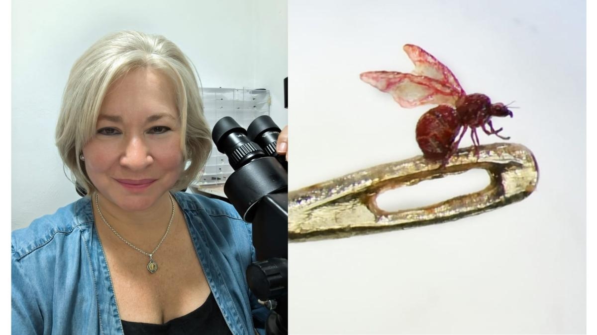 La donna colombiana che crea arte con mine di matita, aghi e persino ciglia; È l'unica microscultrice al mondo